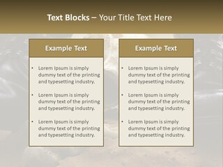 Wave Portrait Caucasian PowerPoint Template