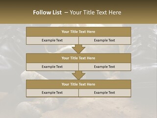 Wave Portrait Caucasian PowerPoint Template