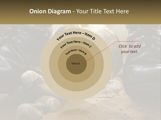 Wave Portrait Caucasian PowerPoint Template