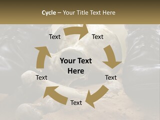 Wave Portrait Caucasian PowerPoint Template