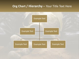 Wave Portrait Caucasian PowerPoint Template