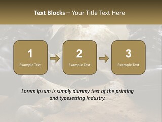 Wave Portrait Caucasian PowerPoint Template