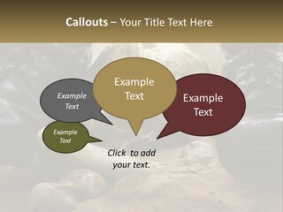 Wave Portrait Caucasian PowerPoint Template