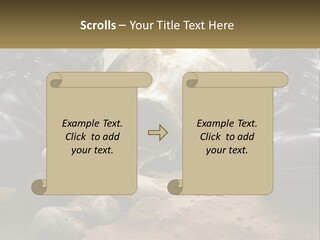 Wave Portrait Caucasian PowerPoint Template