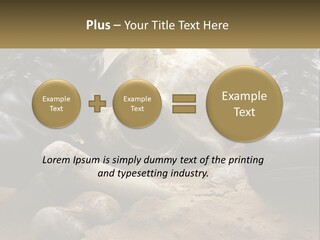 Wave Portrait Caucasian PowerPoint Template