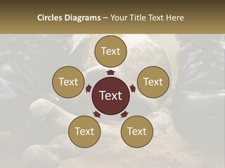 Wave Portrait Caucasian PowerPoint Template