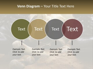 Wave Portrait Caucasian PowerPoint Template