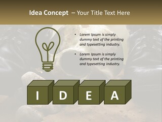 Wave Portrait Caucasian PowerPoint Template