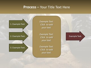 Wave Portrait Caucasian PowerPoint Template