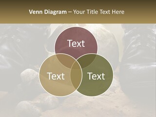 Wave Portrait Caucasian PowerPoint Template