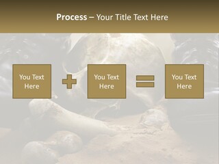Wave Portrait Caucasian PowerPoint Template