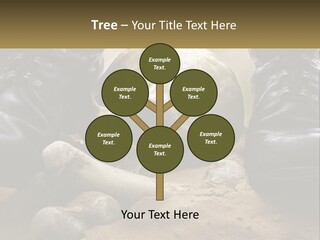 Wave Portrait Caucasian PowerPoint Template