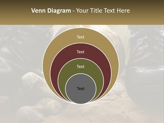 Wave Portrait Caucasian PowerPoint Template