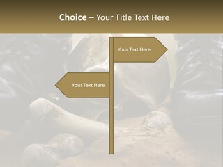 Wave Portrait Caucasian PowerPoint Template