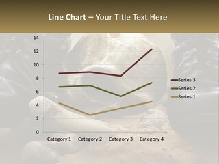 Wave Portrait Caucasian PowerPoint Template