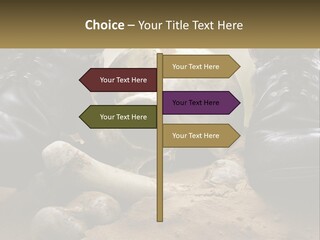 Wave Portrait Caucasian PowerPoint Template