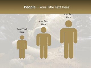 Wave Portrait Caucasian PowerPoint Template