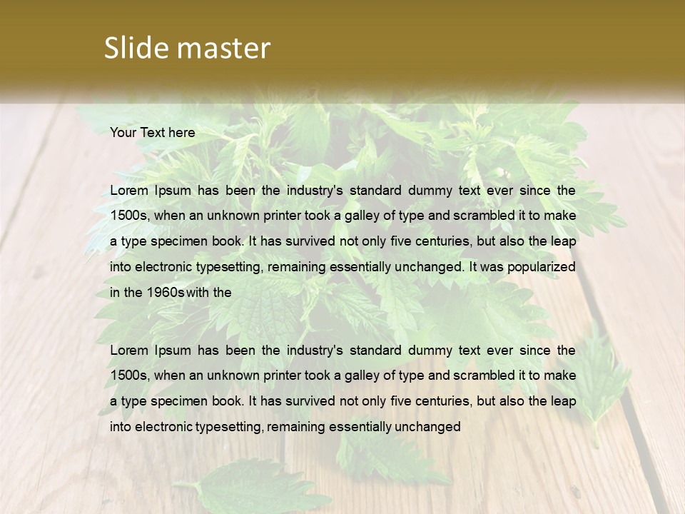 Retired Single Water PowerPoint Template