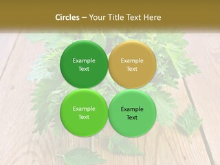 Retired Single Water PowerPoint Template