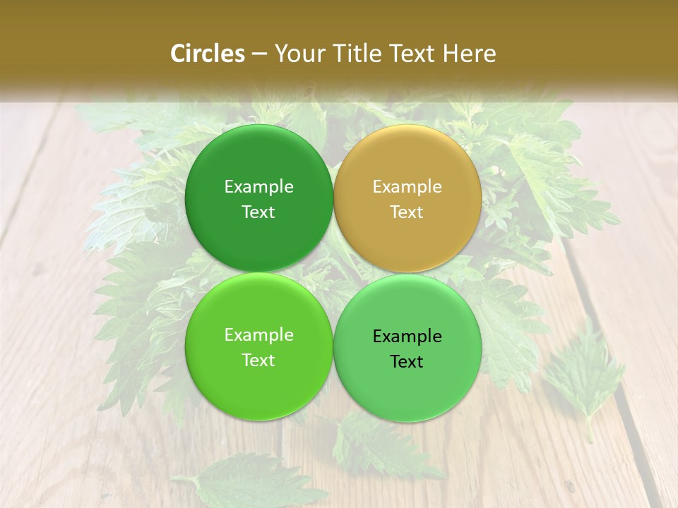 Retired Single Water PowerPoint Template