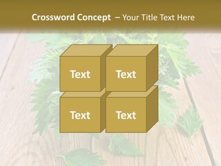 Retired Single Water PowerPoint Template