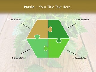 Retired Single Water PowerPoint Template