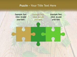 Retired Single Water PowerPoint Template