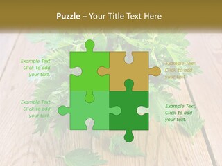 Retired Single Water PowerPoint Template