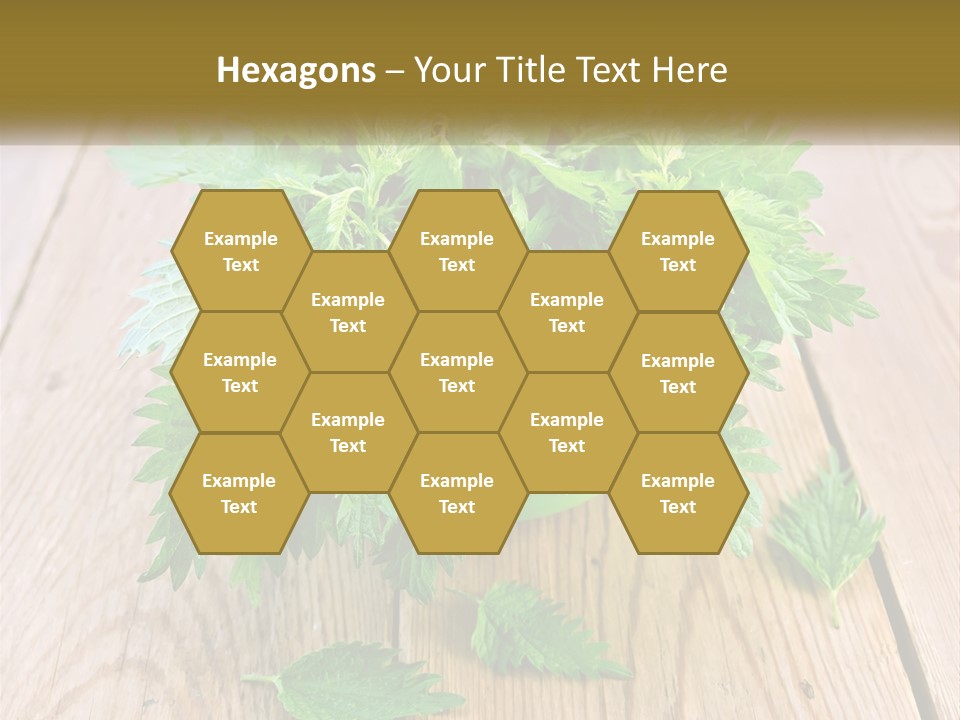 Retired Single Water PowerPoint Template