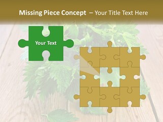 Retired Single Water PowerPoint Template