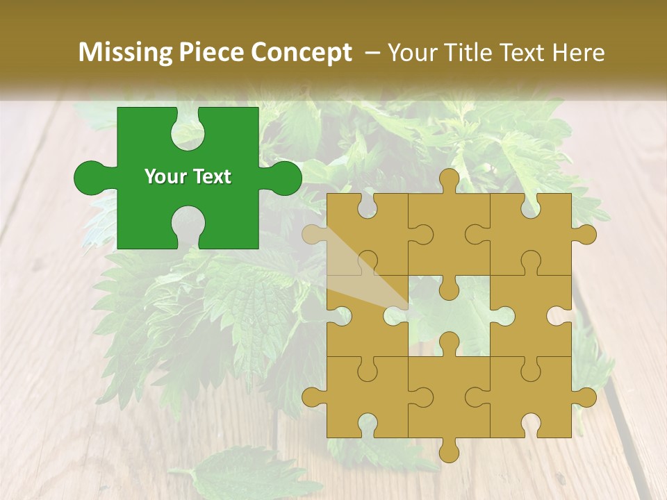 Retired Single Water PowerPoint Template