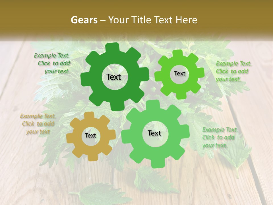 Retired Single Water PowerPoint Template