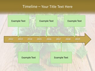 Retired Single Water PowerPoint Template
