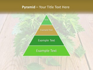 Retired Single Water PowerPoint Template