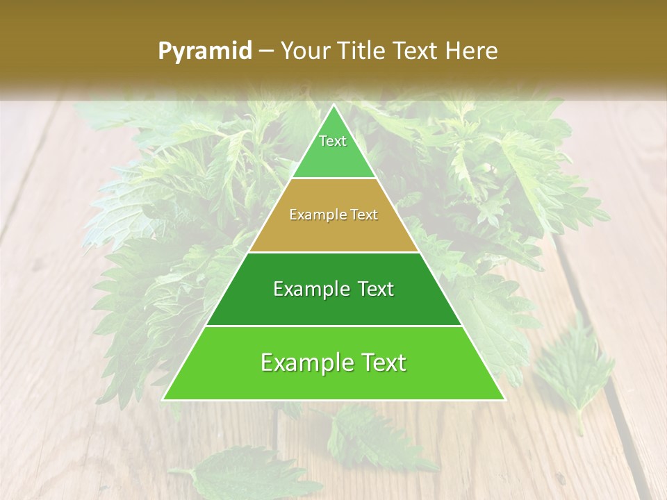 Retired Single Water PowerPoint Template