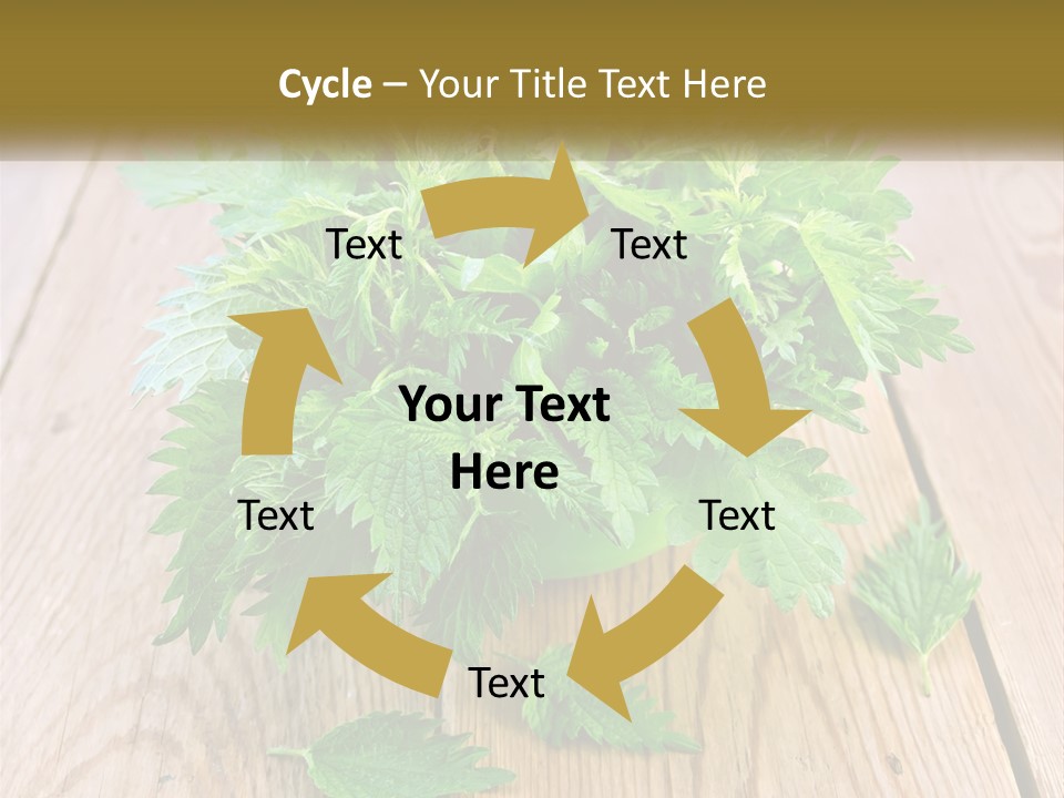 Retired Single Water PowerPoint Template