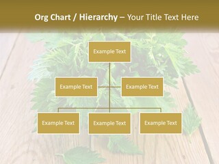 Retired Single Water PowerPoint Template