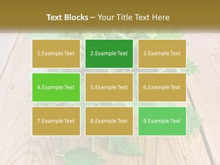 Retired Single Water PowerPoint Template