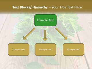 Retired Single Water PowerPoint Template