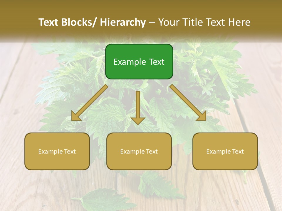 Retired Single Water PowerPoint Template