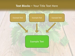 Retired Single Water PowerPoint Template