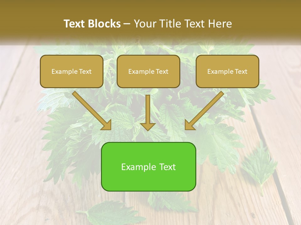 Retired Single Water PowerPoint Template