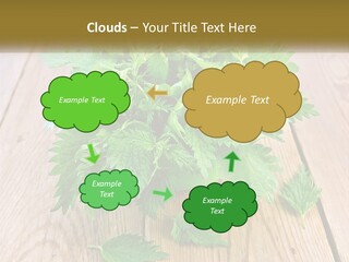 Retired Single Water PowerPoint Template