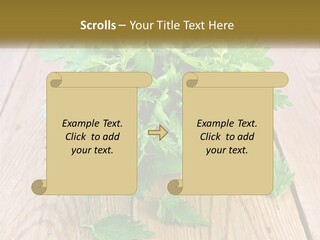 Retired Single Water PowerPoint Template