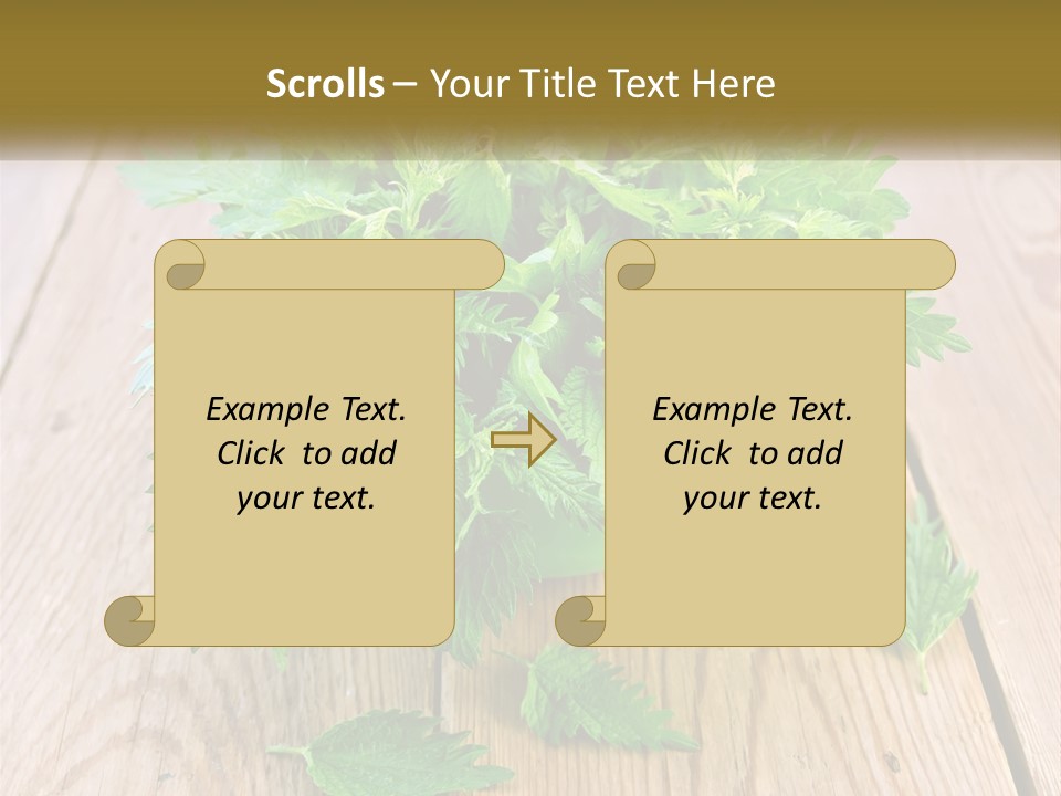 Retired Single Water PowerPoint Template