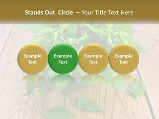 Retired Single Water PowerPoint Template