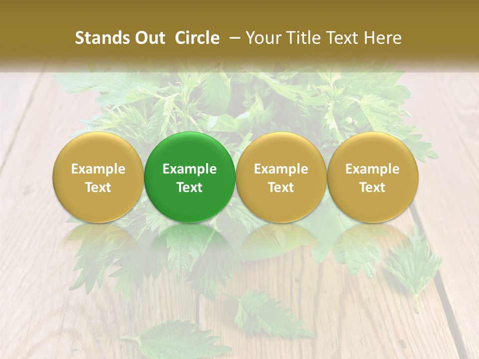 Retired Single Water PowerPoint Template