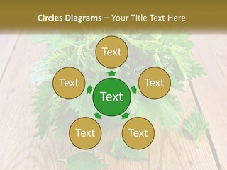 Retired Single Water PowerPoint Template