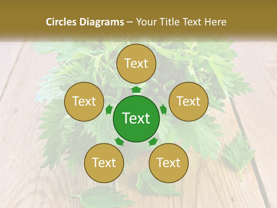 Retired Single Water PowerPoint Template