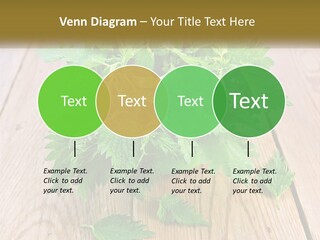 Retired Single Water PowerPoint Template